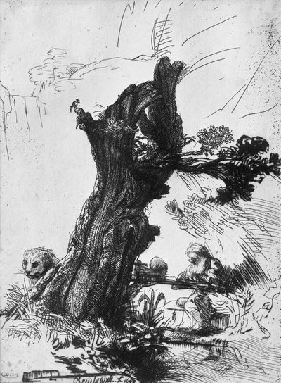 St. Jerome Writing, 1648 by Rembrandt van Rijn